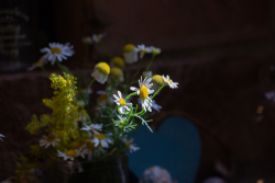 IMG_0130_fullres.jpg