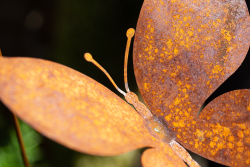 IMG_0073_fullres.jpg