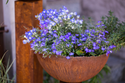 _MG_0120_fullres.jpg