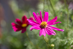 IMG_0007_fullres.jpg