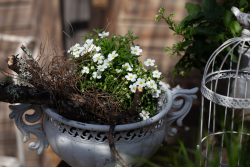 IMG_0054_fullres.jpg