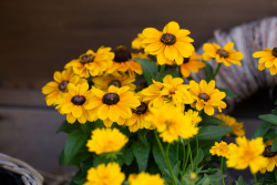 IMG_0034_fullres.jpg