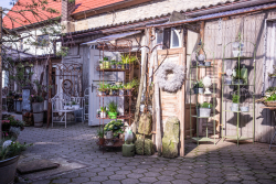 _MG_0002.jpg