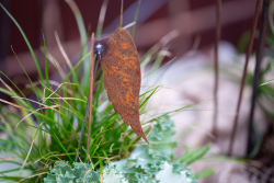 _MG_0048_2048px.jpg